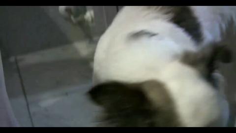 14036