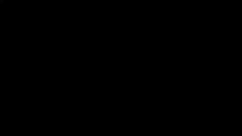 19017